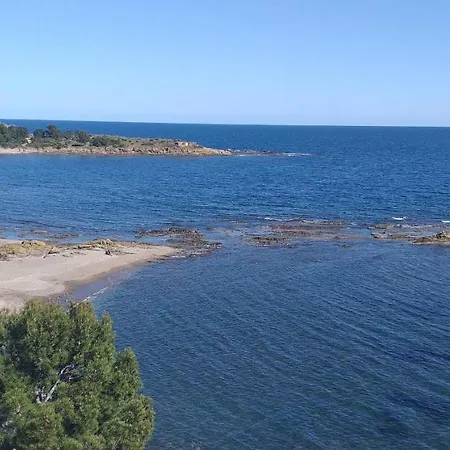 Grifeu Llanca - Barneda