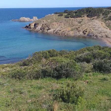 Grifeu Llanca - Barneda