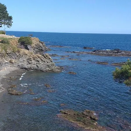 Grifeu Llanca - Barneda Llanca